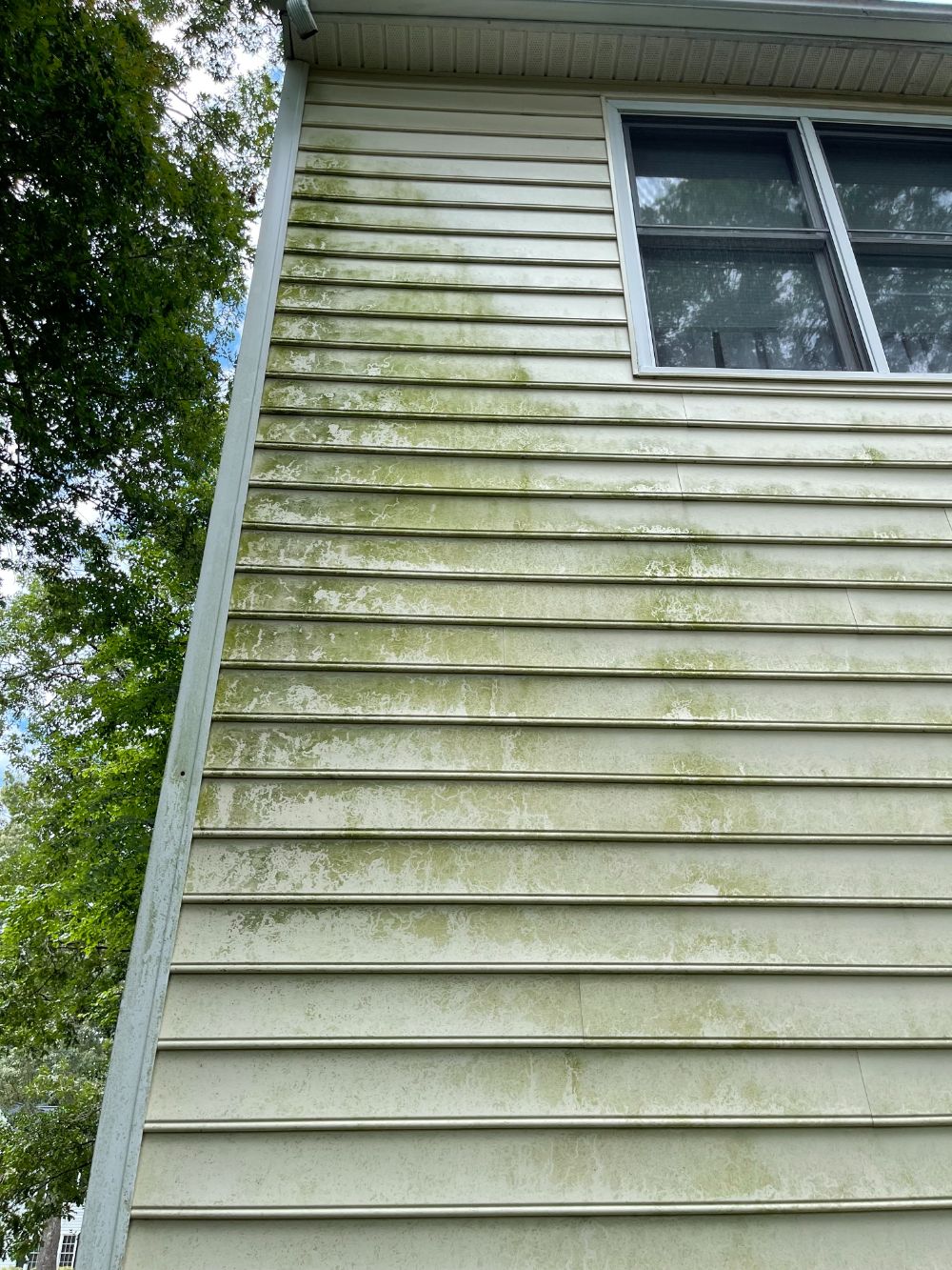 Cleaning home in the ashcreek neighborhood in mechanicsville va
