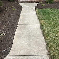 Rain-From-Above-Expert-House-Washing-and-Deck-Cleaning-Services-Completed-in-Mechanicsville-VA 1