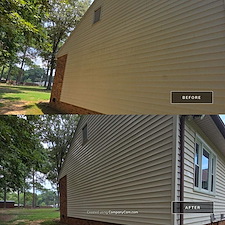 Rain-From-Above-Premier-House-Washing-Services-for-Homes-in-Richmond-VA 26