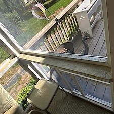 Rain-From-Above-Richmonds-Top-Pressure-Washing-Experts-Deliver-Superior-House-Washing-and-Porch-Cleaning-in-Mechanicsville-VA 9