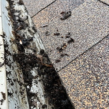 Rain-From-Above-Richmonds-Top-Pressure-Washing-Company-Delivers-Expert-House-Washing-and-Gutter-Cleaning-in-Mechanicsville-VA 3